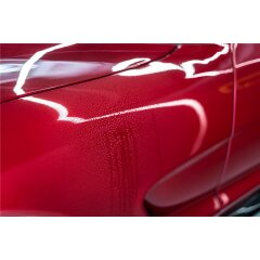 Soft99 Luxury Gloss Glanzverstärker Lackreiniger mit Wachszusatz, Sprühwachs, lackschonend, 500 ml