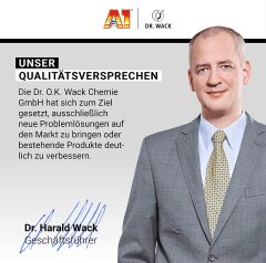 Dr. Wack S100 Helmpolster-Reiniger 300 ml