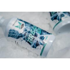 FoxedCare - Ice Breaker Scheibenenteiser, 500ml