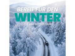 Nuke Guys EisFrei Enteiserspray 1L