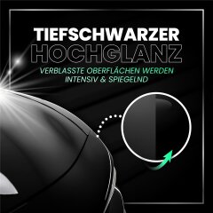 Menzerna Black Gloss & Protect Autopolitur 250ml