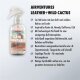 Sonax AirVentures Leather+Wild Cactus 300 ml